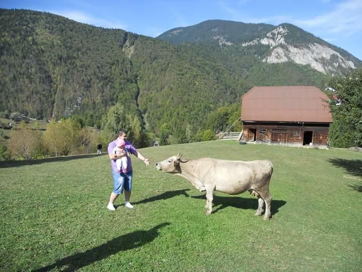 Pensiunea Casa Dobre Măgura Exteriér fotografie